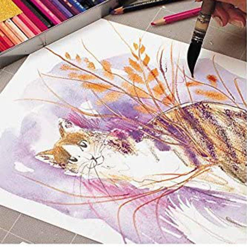 CREATIVE ART MATERIALS Caran D'ache Supracolor Metal Box Set Of 40 (3888.340) Caran D'ache