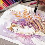 CREATIVE ART MATERIALS Caran D'ache Supracolor Metal Box Set Of 18 (3888.318) Caran d'Ache