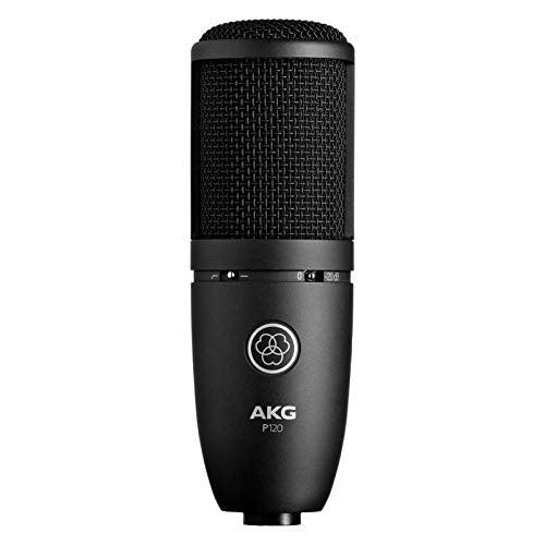 AKG P120 High-Performance General Purpose Recording Microphone AKG